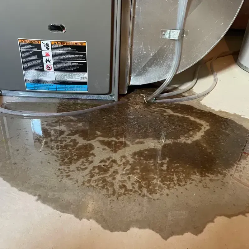 Appliance Leak Cleanup in Woodway, TX